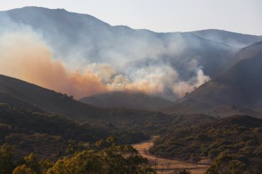 dağlarda orman yangını