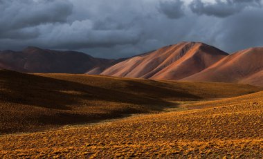 Altiplano Yaylası