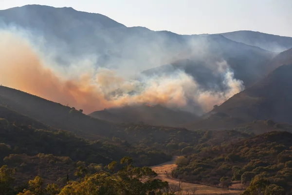 Forest fire on the mountains — Stock Photo, Image