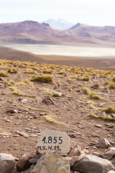 Planalto do altiplano — Fotografia de Stock