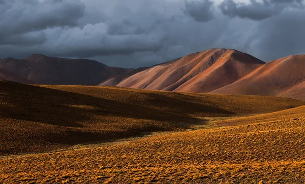 Altiplano plateau — Stock Photo, Image