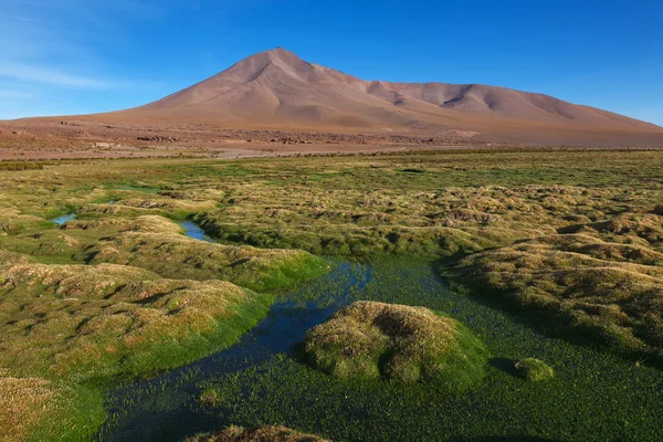 Hochebene von Altiplano — Stockfoto