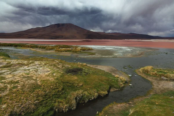 Laguna Colorada — Stock Photo, Image