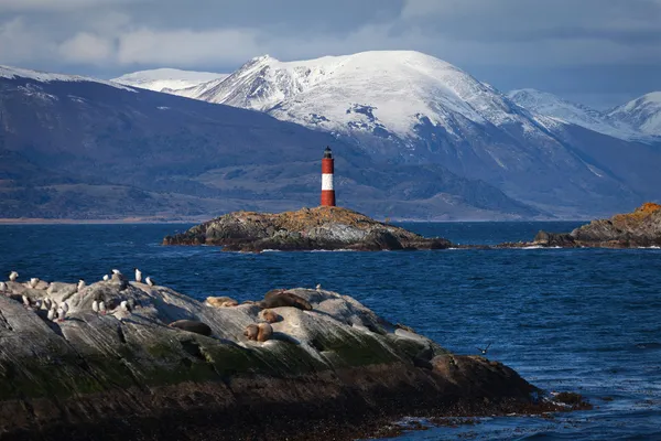 Fin du monde des phares dans le chenal Beagle — Photo