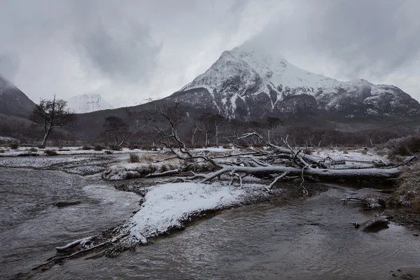 Parque nacional Tierra del Fuego — Fotografia de Stock