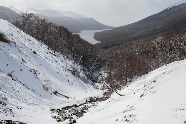 Parque Nacional Tierra del Fuego —  Fotos de Stock