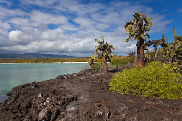 Eiland Santa cruz — Stockfoto