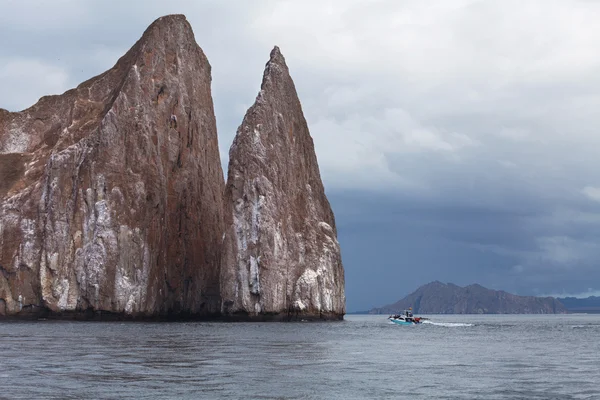 Kicker rots in de galapagos — Stockfoto