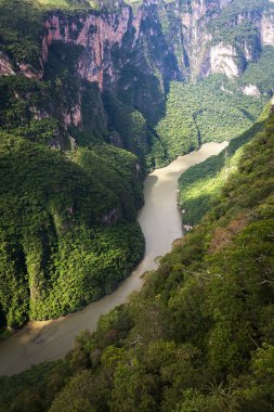 Canyon of Sumidero, Tuxtla Gutierrez, Mexico clipart