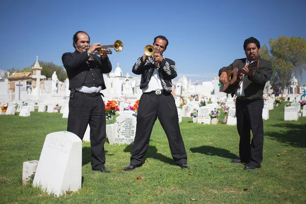 Aguascalientes, mexiko - nov 01: unbekannte musikanten auf einem friedhof — Stockfoto