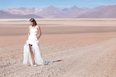 Çölde bir yayla altiplano Bolivya üzerine gelin