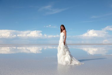 Gelin bir yayla Dağları'nda, salar de uyuni, Bolivya çölünde