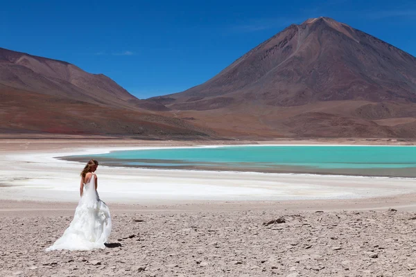 Panna młoda na pustyni na wysokim płaskowyżu altiplano, laguna verde, Boliwia — Zdjęcie stockowe