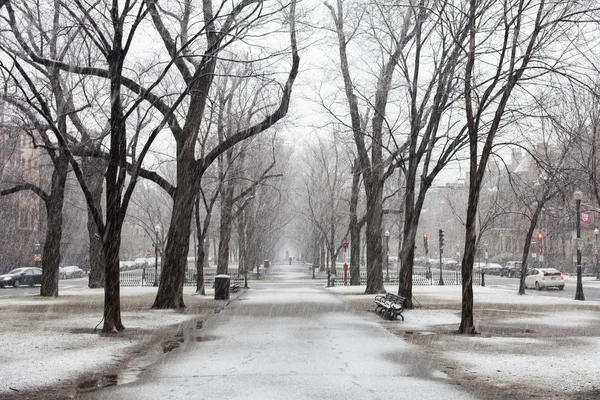 La nevicata a Boston — Foto Stock