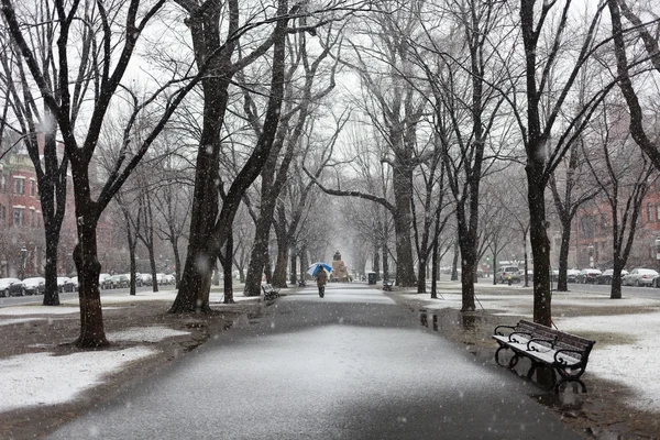 De sneeuwval in boston — Stockfoto