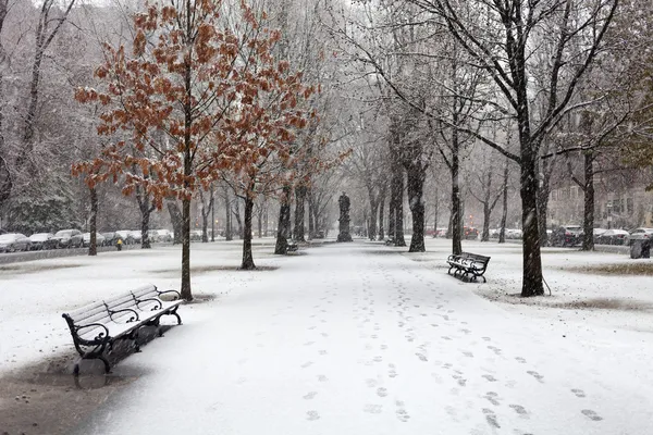 La nevicata a Boston — Foto Stock