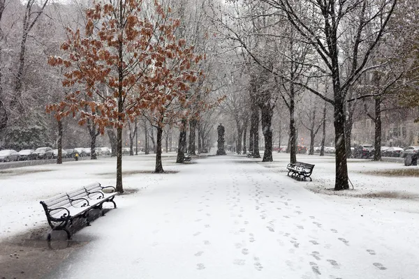 A queda de neve em Boston — Fotografia de Stock