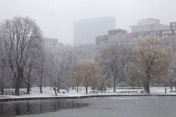 The snowfall in Boston — Stock Photo, Image