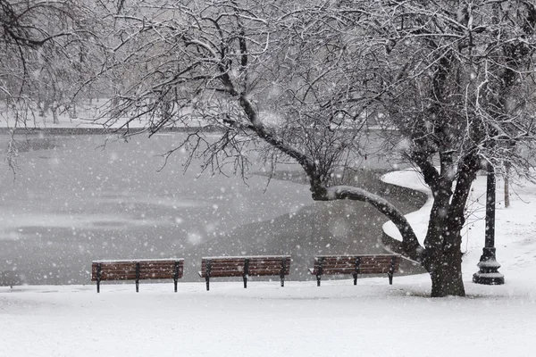 Snowfall in Boston — Stock Photo, Image