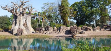 Afrika savana üzerinde filler aile. Amboseli, Kenya Safari'de,