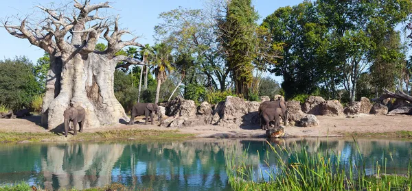 Olifanten-familie op de Afrikaanse savanne. Safari in amboseli, Kenia, — Stockfoto