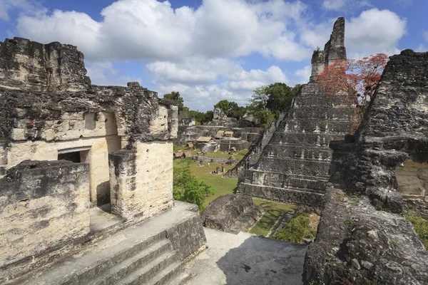 Пирамида Майя в Тикале, Гватемала — стоковое фото