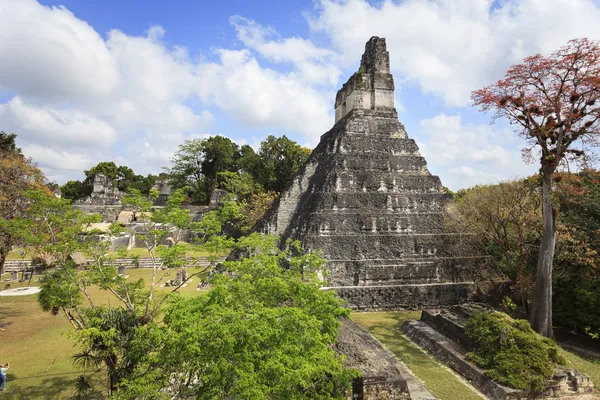 Mayan pyramid in Tikal, Guatemala — Stock Photo, Image