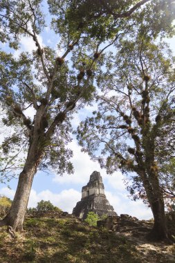 Maya piramit içinde tikal, guatemala