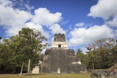 Maya piramit içinde tikal, guatemala