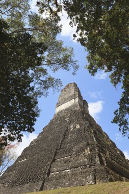 Mayan pyramid in Tikal, Guatemala clipart