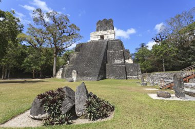 Maya piramit içinde tikal, guatemala