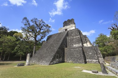 Maya piramit içinde tikal, guatemala