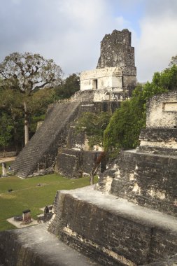 Maya piramit içinde tikal, guatemala