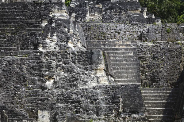 Pirámide maya en Tikal, Guatemala —  Fotos de Stock