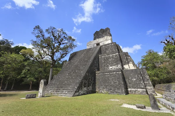 Pirámide maya en Tikal, Guatemala —  Fotos de Stock