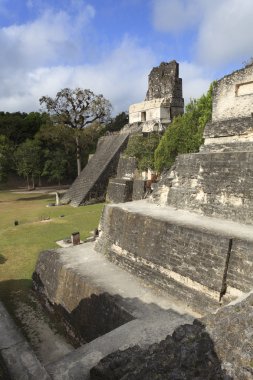Maya piramit içinde tikal, guatemala