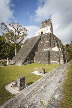 Maya piramit içinde tikal, guatemala
