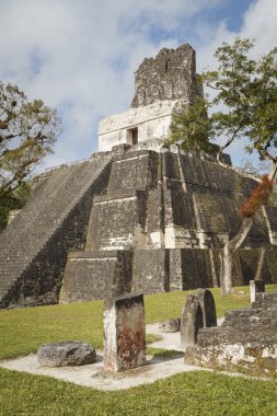 Maya piramit içinde tikal, guatemala