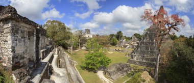 Maya piramit içinde tikal, guatemala