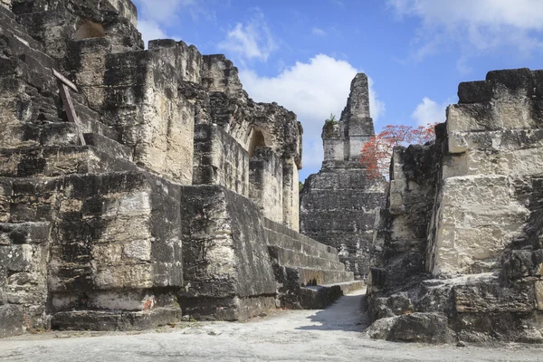 Pirámide maya en Tikal, Guatemala — Foto de Stock