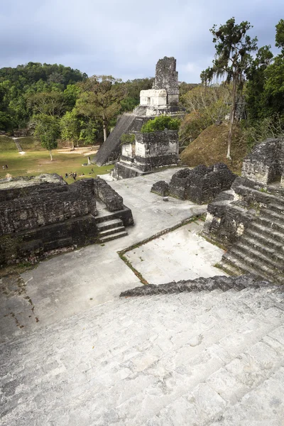 Mayská pyramida v Tikalu, guatemala — Stock fotografie