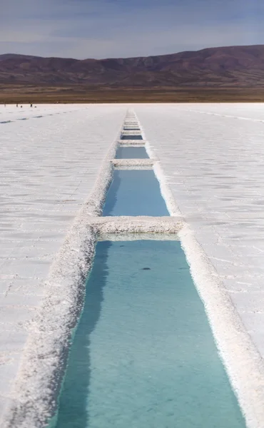 Water pool on the Salinas Grandes salt flats in Jujuy province, — Stock Photo, Image