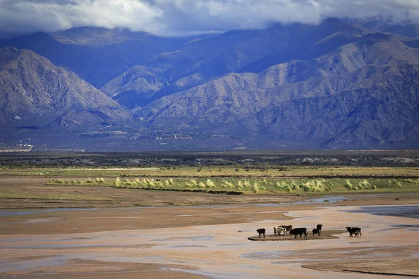 Quebrada de Cafayate, Salta, Argentina — Stock fotografie