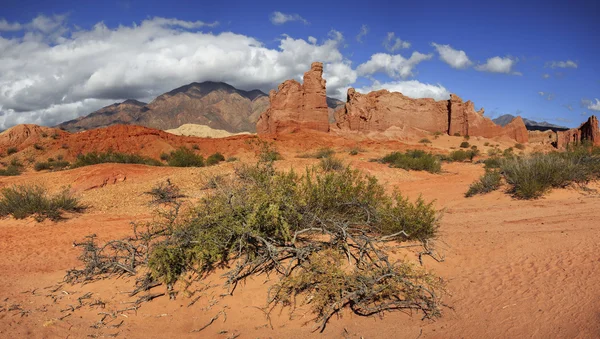 Quebrada de Cafayate, Salta, Argentina — Stock fotografie