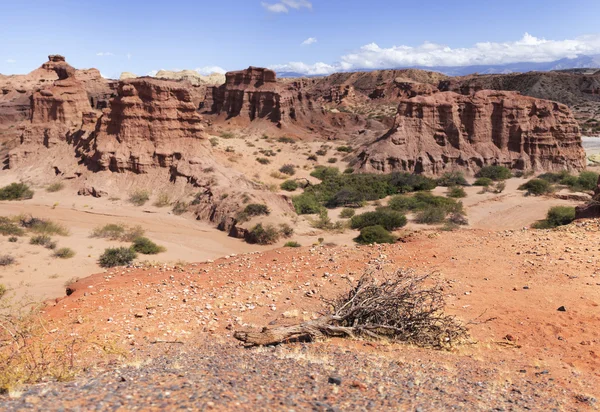 Quebrada de Cafayate, Salta, Argentina — Fotografia de Stock