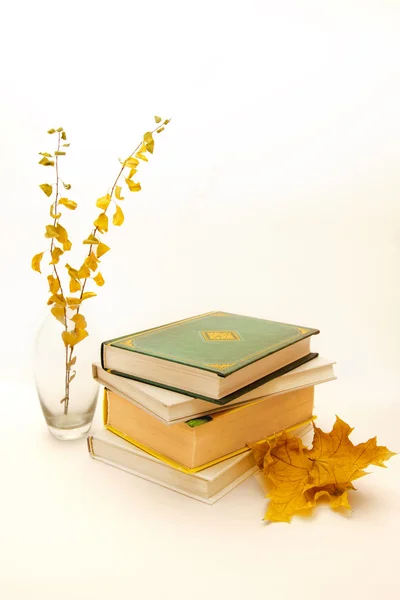 Книги с осенними листьями — стоковое фото