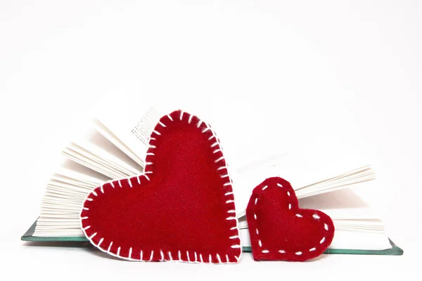 Amore da leggere — Foto Stock