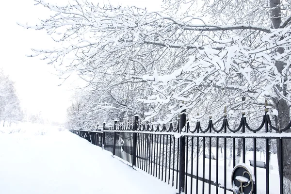 Parque de invierno — Foto de Stock