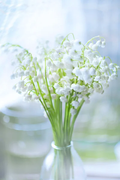 Bouquet of lilies of valley — Stock Photo, Image