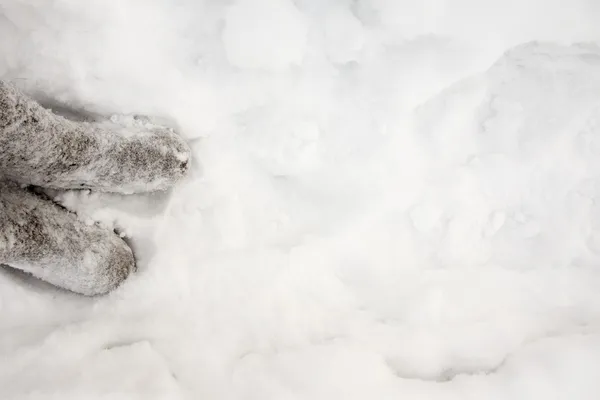 Ботинки в снегу . — стоковое фото